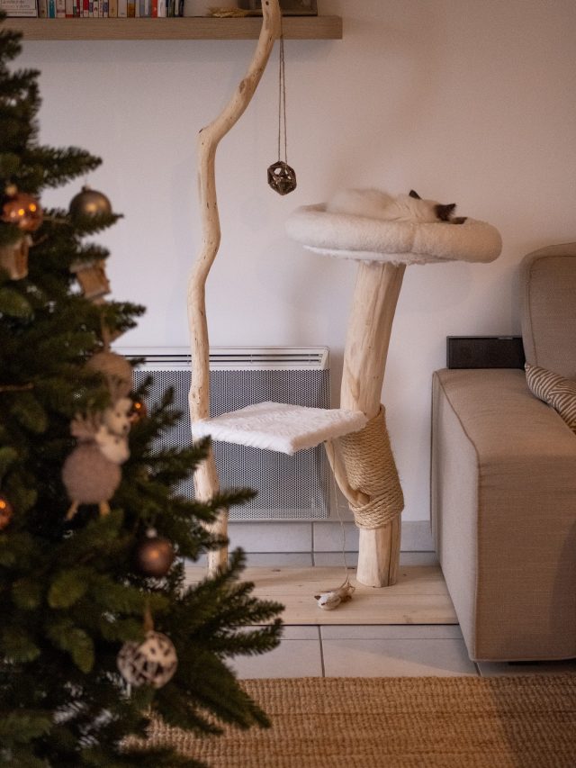 Photo du rendu final de l'arbre à chat dans l'appartement