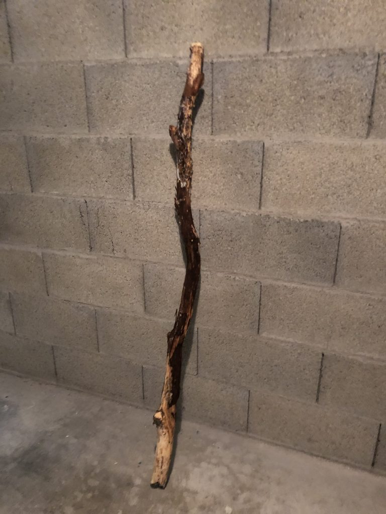 Bout de bois brut trouvé dans la nature qui servira de branche fine à l'arbre à chat